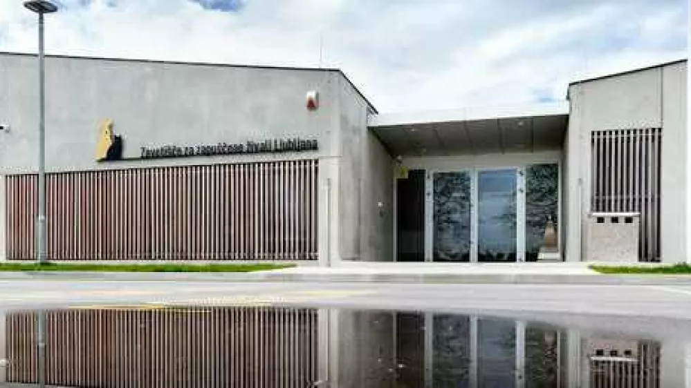 V Zavetišču Ljubljana vabijo na dan odprtih vrat. Foto: Zavetišče Ljubljana