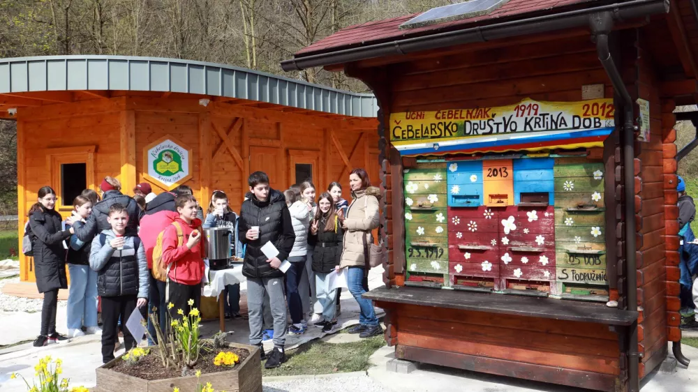 Učni čebelnjak je društvo, tudi zaradi odličnih rezultatov mladih čebelarjev, od Čebelarske zveze Slovenije prejelo v dar že leta 2012. Foto: Tomaž Skale