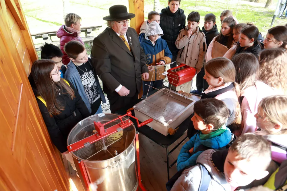 Milan Burja je črnuškim učencem pokazal, kako iz satovja pridobivajo med. Foto: Tomaž Skale