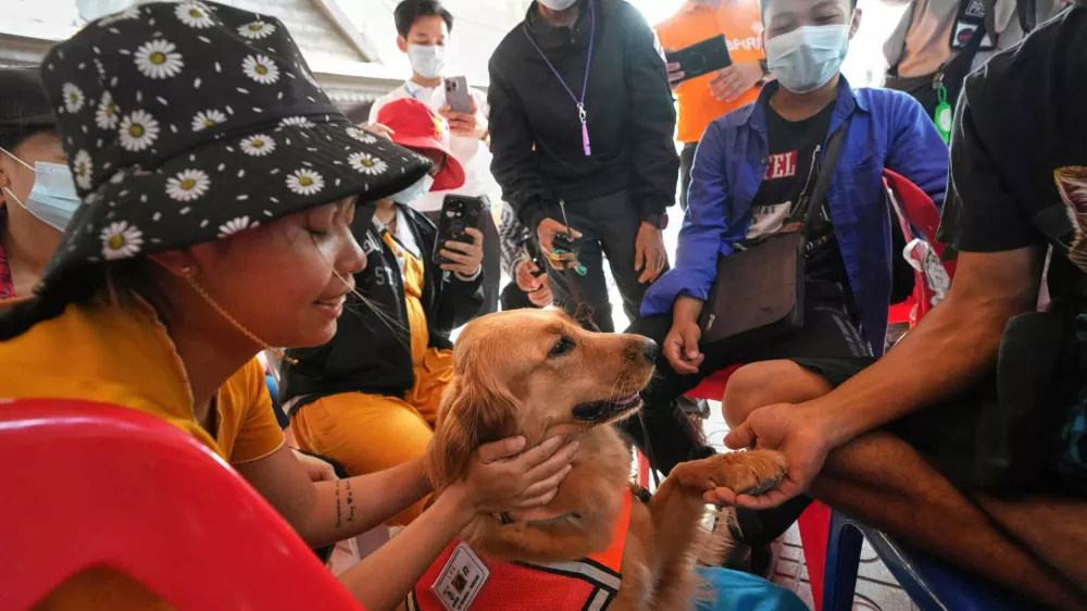 K9 named Lek works as an emotional support with relatives of workers of a high-rise building under construction that collapsed after Friday's earthquake in Bangkok, Thailand, Tuesday, April 1, 2025. (AP Photo/Sakchai Lalit)