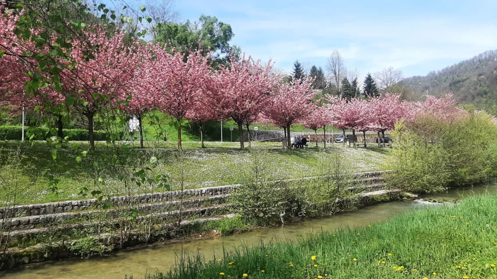Kotički za romantike. / Foto: Roman Turnšek