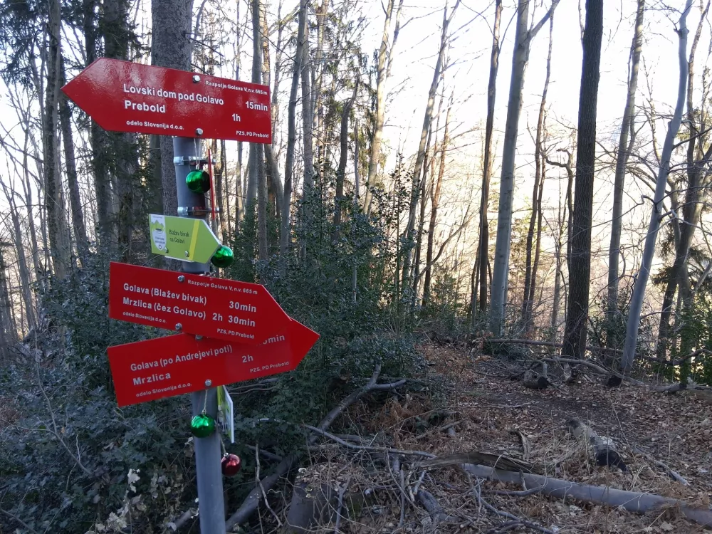 Razpotje, kjer se lahko odločimo, ali nadaljujemo po delno zahtevni Andrejevi poti ali po običajni poti na Golavo. Do sem nas pripelje tudi pot iz Matk. / Foto: Katja Petrovec
