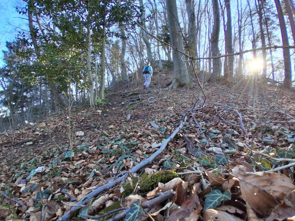 Običajna pot na Golavo poteka po dolgem grebenu, ki je ponekod širok, proti vrhu pa vse ožji. / Foto: Katja Petrovec