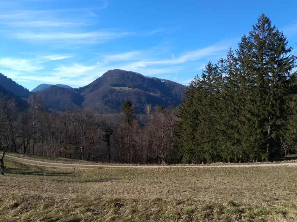 Golava, kot jo je mogoče videti s sedla med Mrzlico in Kamnikom, imenovanim tudi Veliki vrh. / Foto: Katja Petrovec
