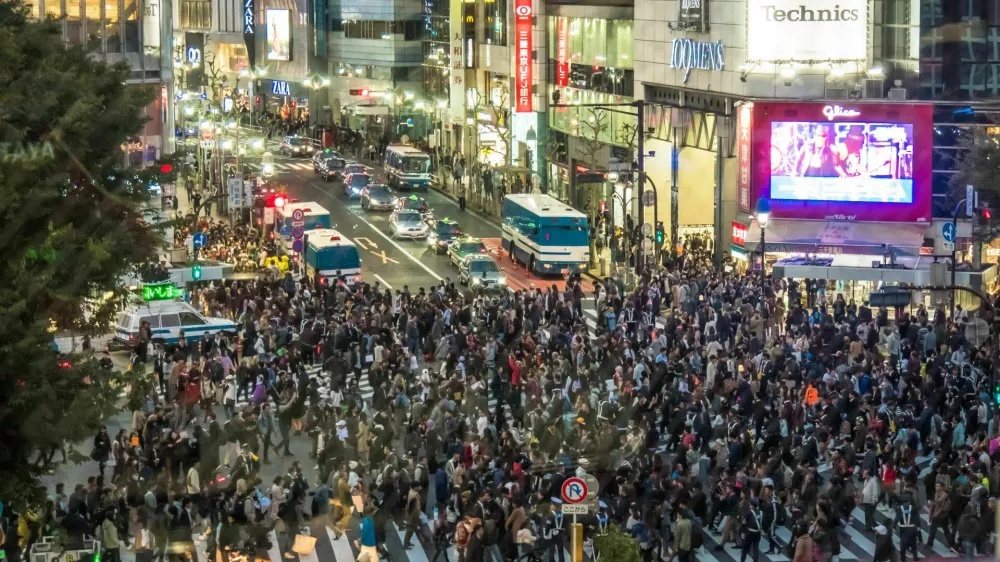 Gneča na križišču Šibuja je enaka ponočič in podnevi. / Foto: Istock