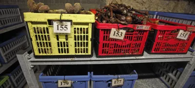 - Kostnica- 04.03.2013 - prikrito grobiče Barbara rov v pemogovniku Huda jama pri Lakem -- ogled Hude jame ob četrti obletnici vstopa raziskovalcev v rov sv. Barbare //FOTO: Luka Cjuha