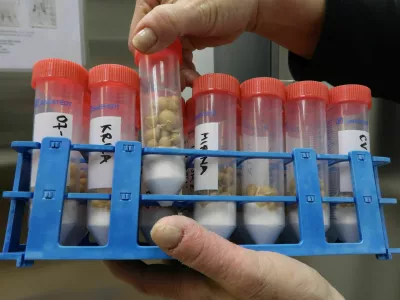 Semenska banka krompirja, žlahtnenje krompirja, Kmetijski inštitut Slovenije, Beti Komotar, vodja semenske banke