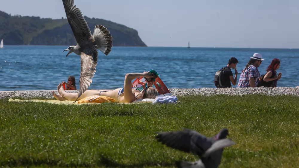 - 29.04.2024. Sončenje na mestni plaži v Izoli.- Turizem, kožni rak, galeb, sobivanje človeka in narave. //FOTO: Bojan Velikonja