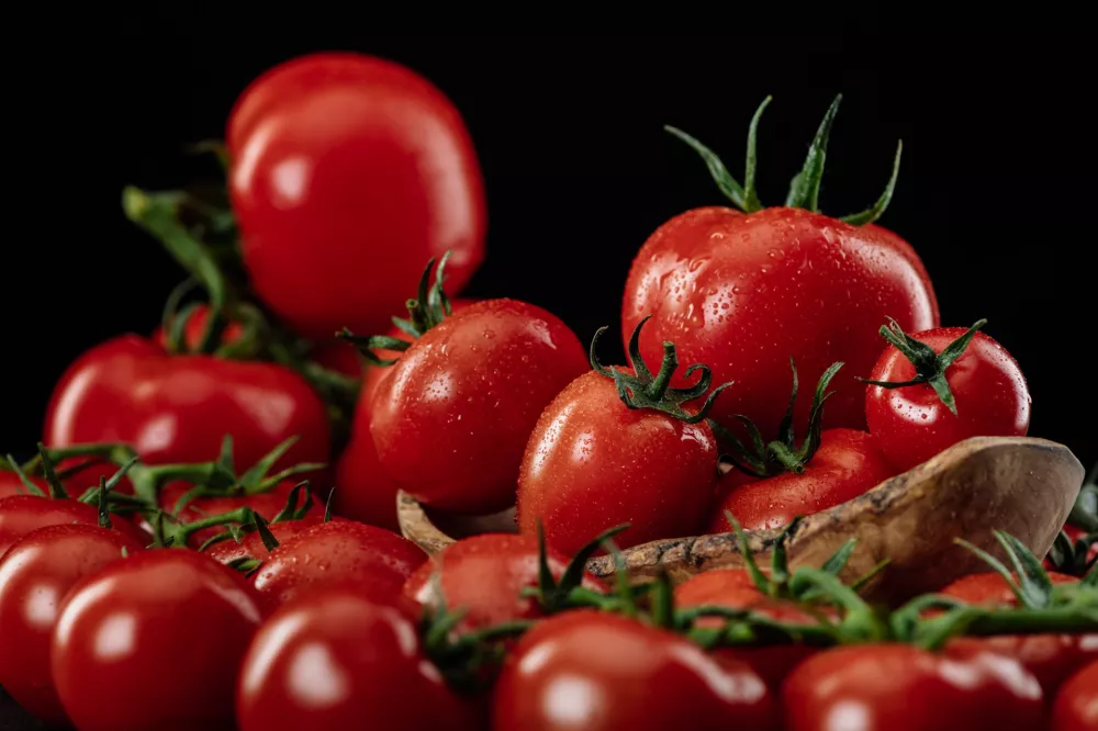 Foto: Paradajz d.o.o.