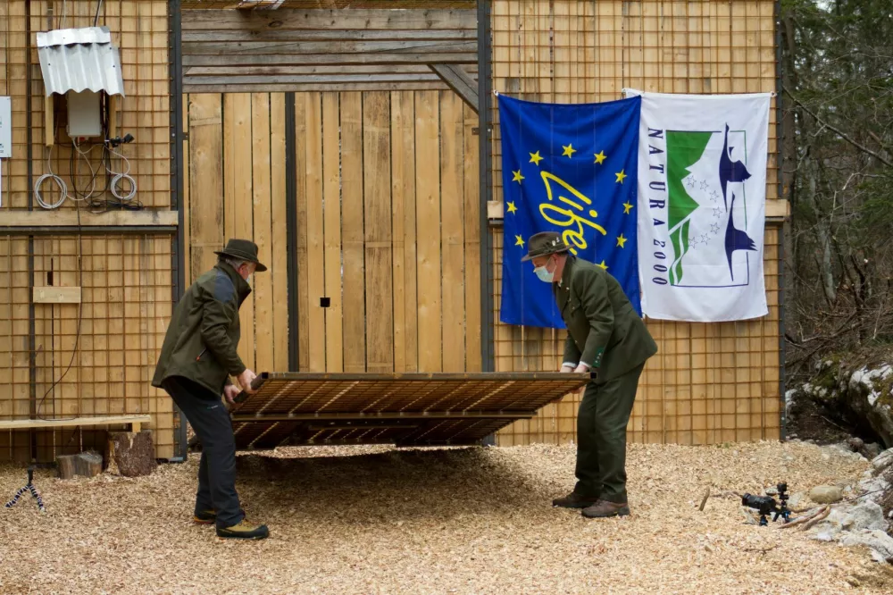 lovci so izpustili risa v naravo / Foto: Janez Tarman 