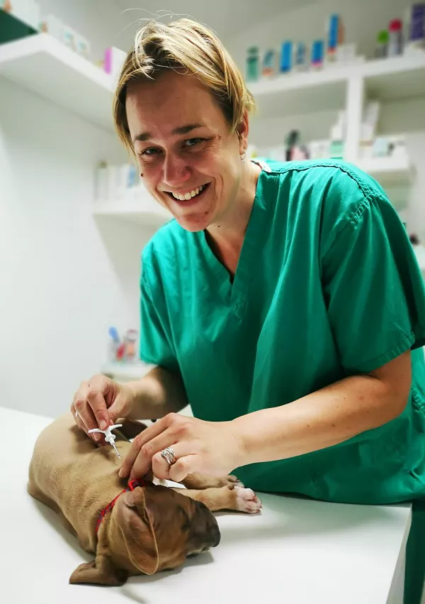 rpt_vivid sd s / Foto: Cs Cs 