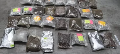 konoplja med čajem iz Tajska prek Rotterdam v Sežana / Foto: Pu Koper