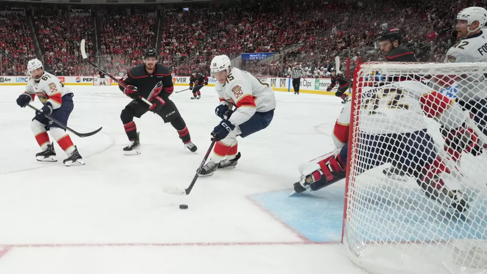 May 20, 2025; Raleigh, North Carolina, USA; Florida Panthers forward Anton Lundell (15) defends against Carolina Hurricanes during the second period in game one of the Eastern Conference Final of the 2025 Stanley Cup Playoffs at Lenovo Center. Mandatory Credit: James Guillory-Imagn Images