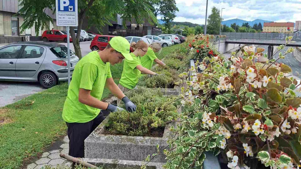 Pomoč pri delu dijakov in študentov med počitnicami pride poleti prav pri prenekaterem opravilu v mestu. Foto: arhiv MOC