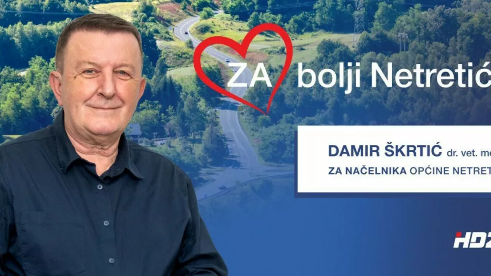 Damir &Scaron;krtić