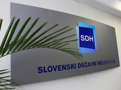 SDH zaradi izgube statusa javnega interesa v vlogi ustanovitelja ali družbenika še ni ukinil nadzornega sveta v nobeni od družb. Foto: Tomaž Skale