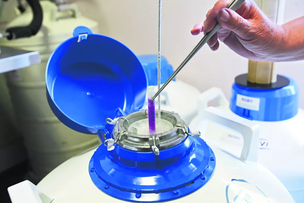 - spermalna banka - KO za reprodukcijo Ginekološke klinike, Zaloška 2//FOTO: Luka Cjuha------3-kolonsko