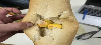 Moški je dva paketka heroina skril v štruco kruha. 