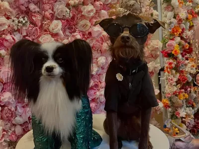 Jk s pasjim prijateljemj Bastian na Pet Gali, oblečena v obleke, navdihnjene z oblekami Malume in Bad Bunnyja z Met Gale. F IG/@anthonyrubio01