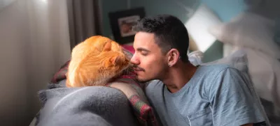 Mačke uporabljajo svoj močan voh za prepoznavanje in komunikacij z drugimi mačkami in tudi z ljudmi. Foto: iStock