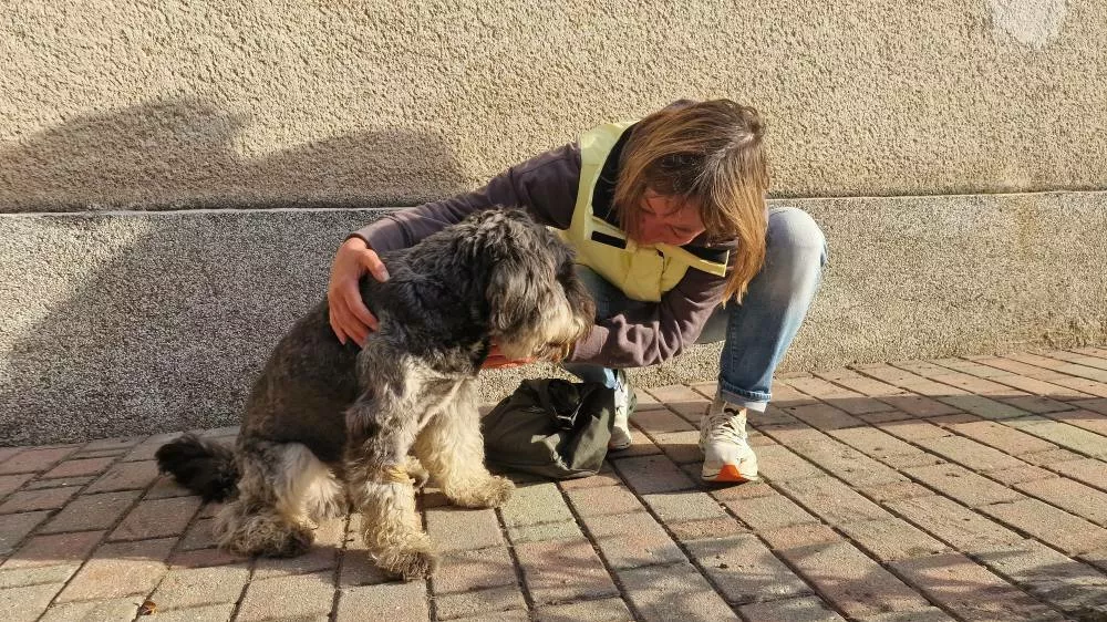 Vse se je končalo srečno.