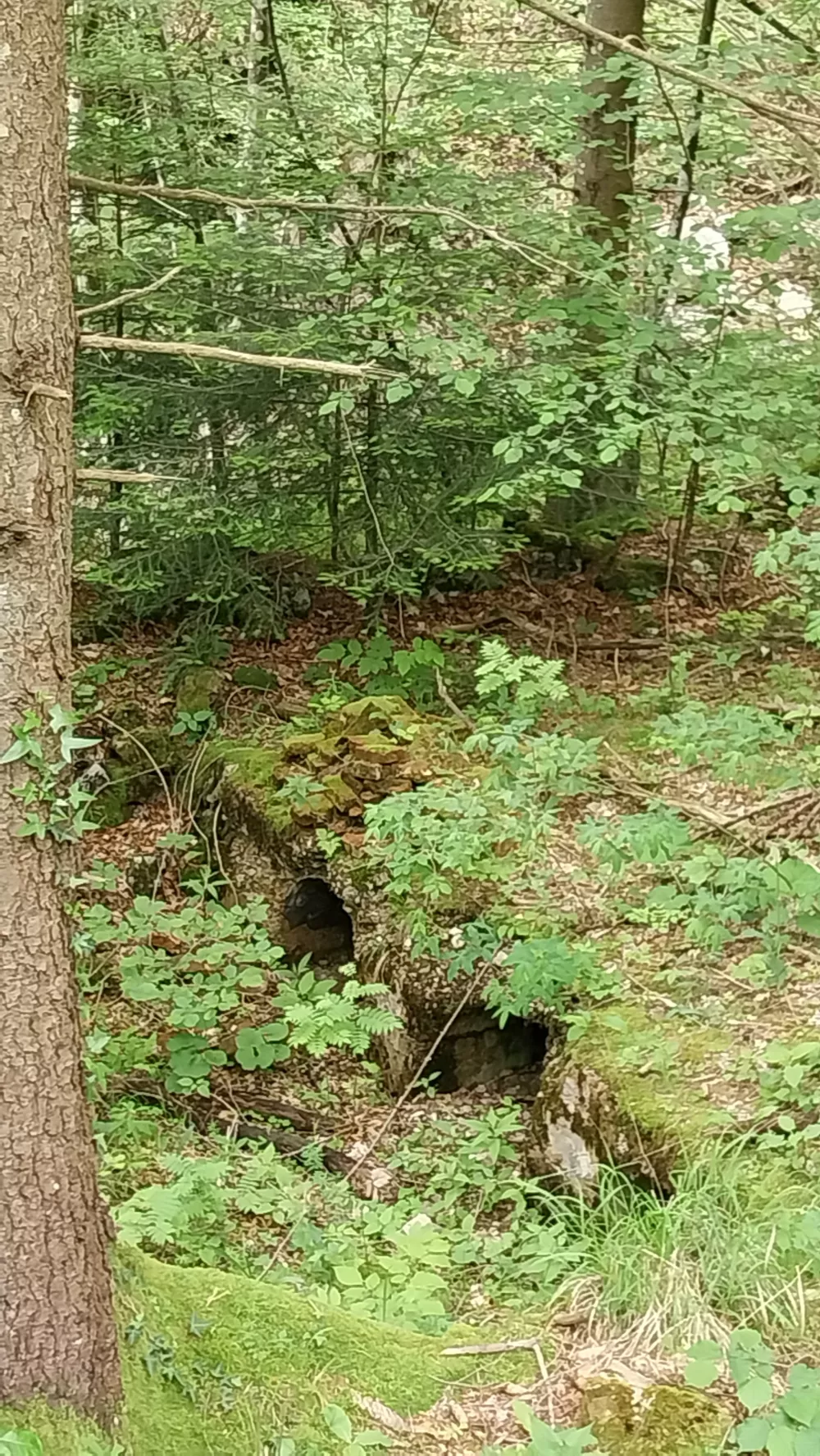 Šentanski rudnik, kjer so nekoč pridobivali živo srebro, se nahaja 9 kilometrov severno od Tržiča, pri zaselku Lajb.