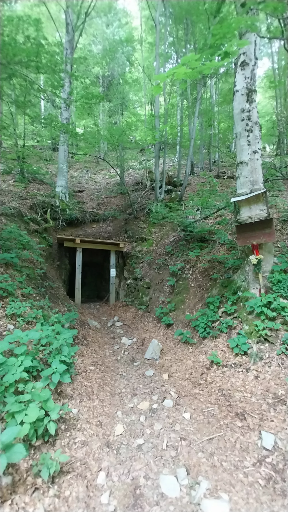 Šentanski rudnik, kjer so nekoč pridobivali živo srebro, se nahaja 9 kilometrov severno od Tržiča, pri zaselku Lajb.