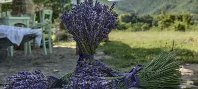 Zeliščni vrtovi in kmetije v Istri bodo ta konec tedna odprli svoja vrata. F Bojan Brada Kaspar