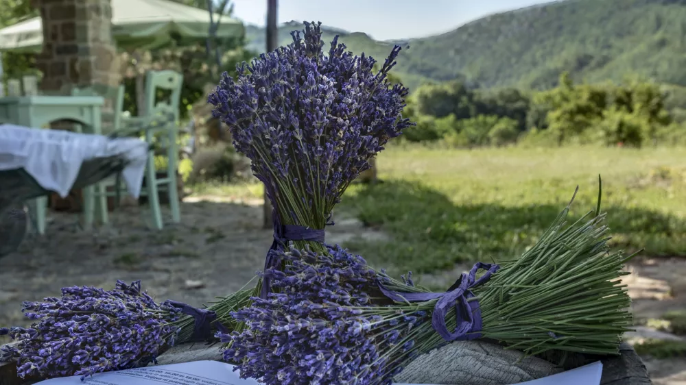 Zeliščni vrtovi in kmetije v Istri bodo ta konec tedna odprli svoja vrata. F Bojan Brada Kaspar