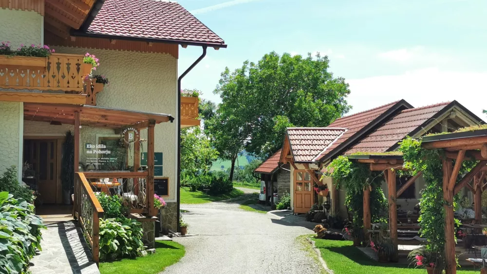 Pri Baronu / Foto: Miha First