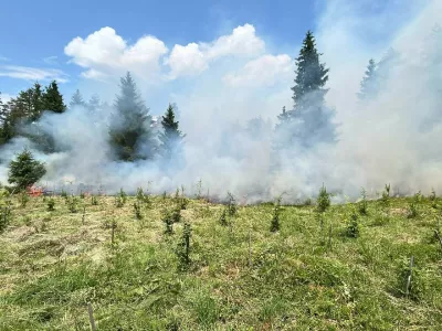 Gori v gozdu med Trbojami in Smlednikom. 