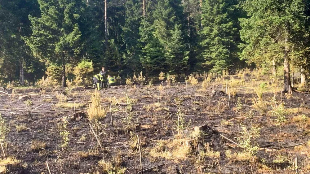 požar pogorišče smlednik