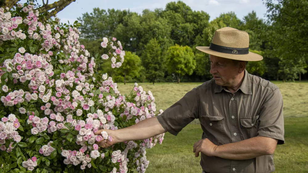 Matjaž Mastnak ob letošnji zmagovalki, 'Frau Eva Schubert. F Mateja Račevski