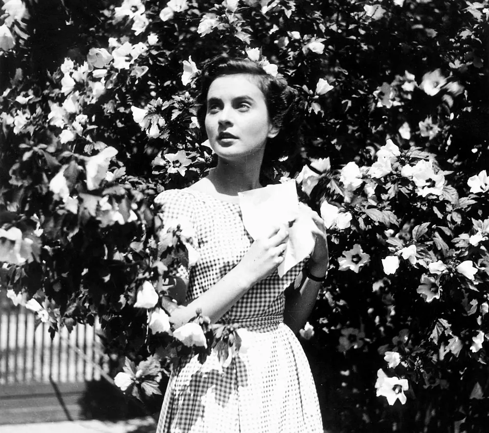 ﻿Vesna (František Čap, 1853)------3k / Foto: 