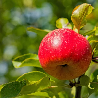 Topaz. Slika je simbolična. / Foto: Istock