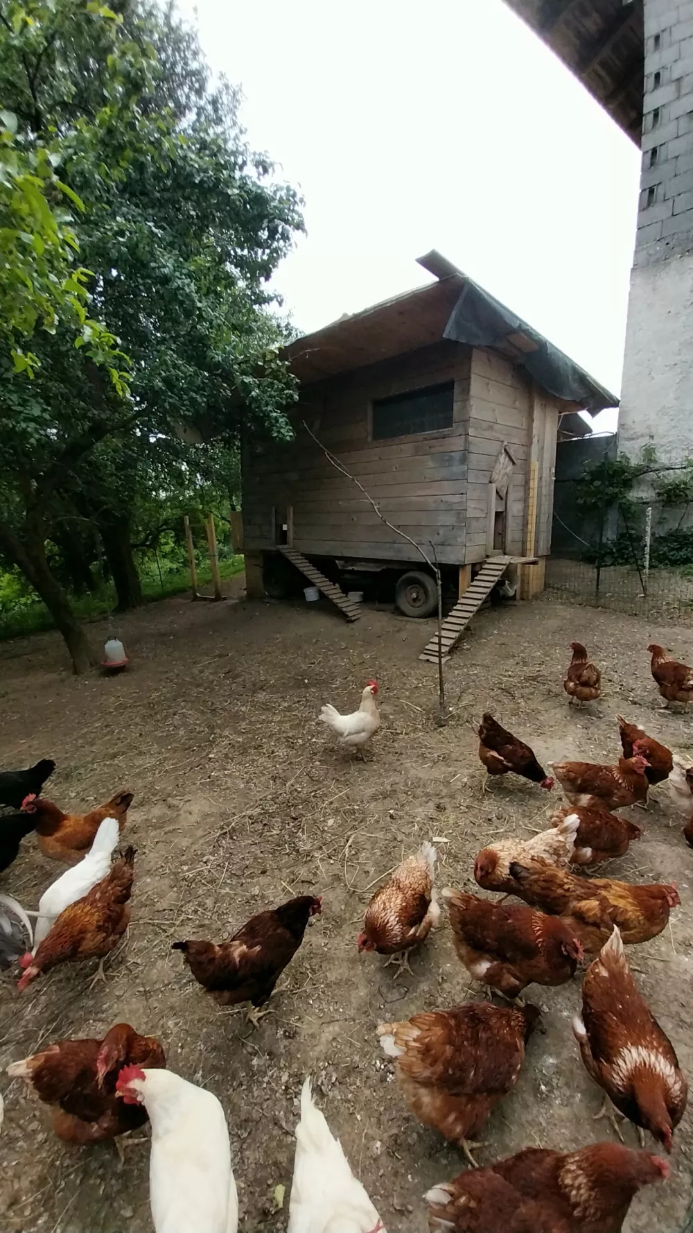 Domačini lepo sprejeli mestne srajce