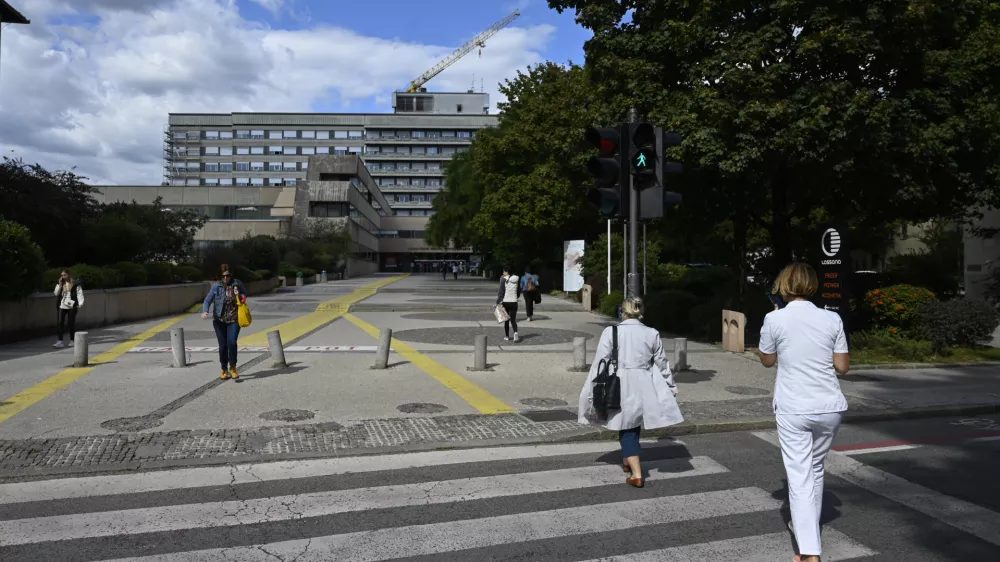 Obrezali bodo drevesa ob ploščadi