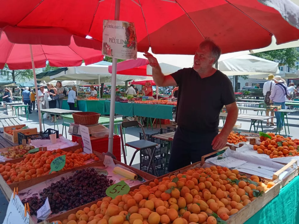 Češnje, ljubljanska tržnica, sadje, branjevec, branjevka.