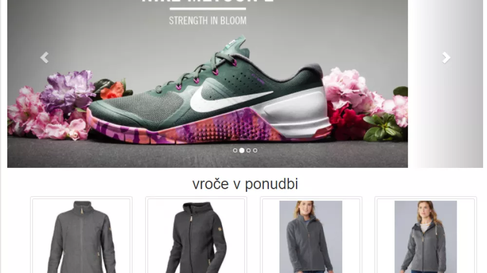 ﻿Lažna spletna trgovina