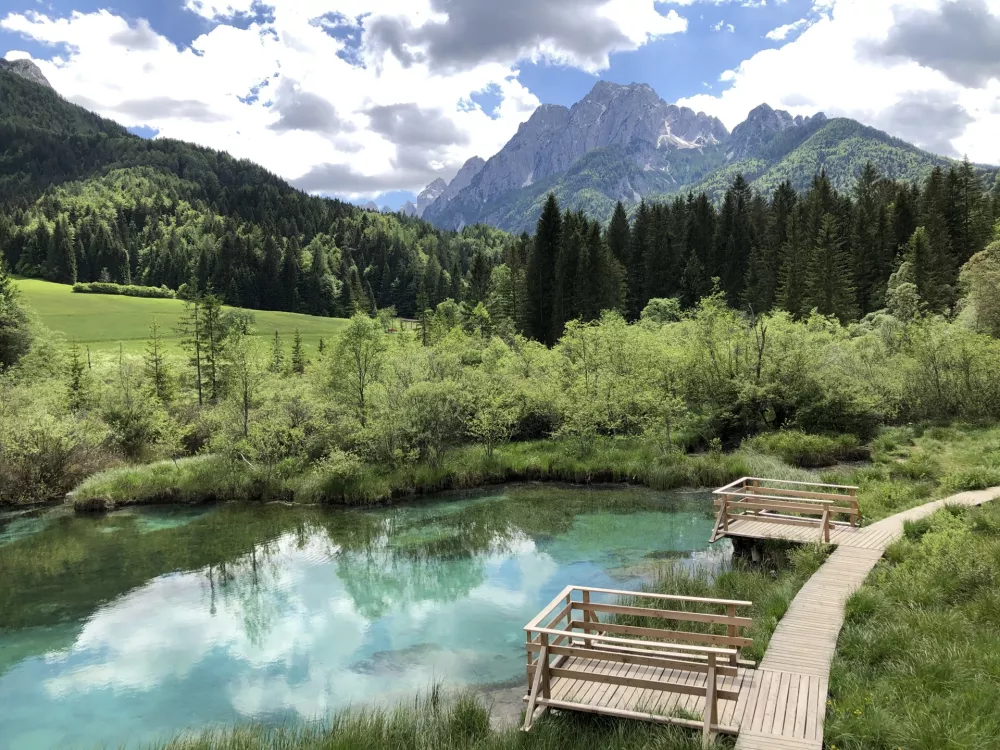 Naravni rezervat Zelenci je dobil ime po samaragdno zelenem jezeru, ki prevladuje nad močvirjem in ki tudi pozimi ne zamrzne. F Nataša Makovec