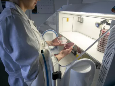 Kaj pomeni širjenje nove virusne različice?