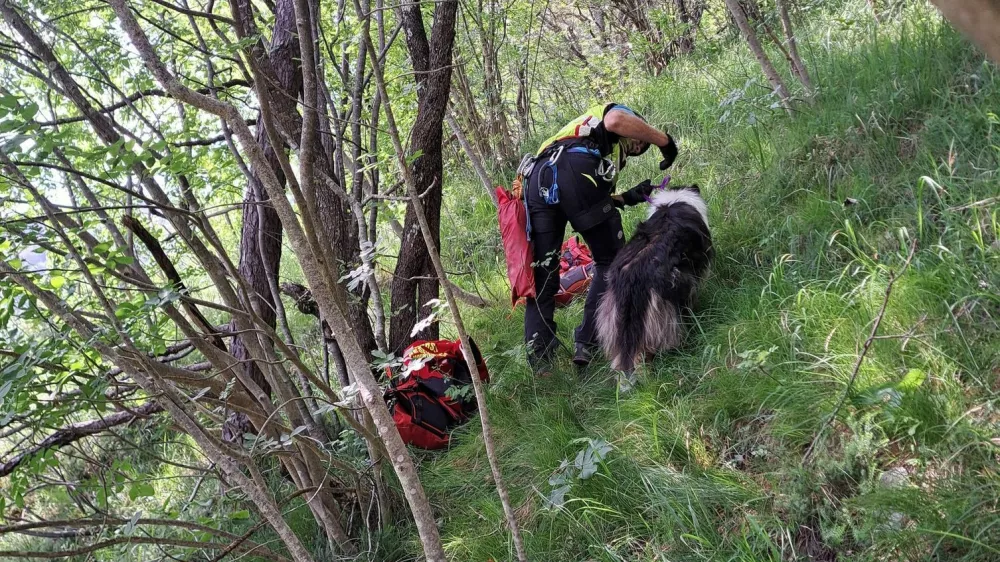 Ljubljanski gorski reševalci so v Pungertu na pomoč priskočili psički. 