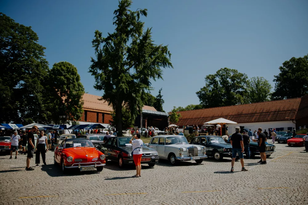 Dogodek ob izboru naj starodobnika Slovenije je v Ormož privabil lepo &scaron;tevilo obiskovalcev. / Foto: Anej Ferko