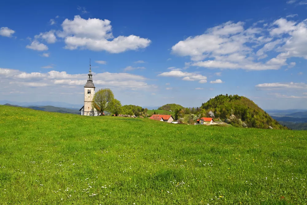 Koreno nad Horjulom / Foto: Franci Horvat