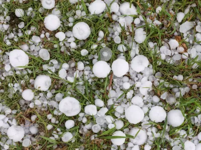 Med majhnimi kepami se lahko znajdejo tudi smrtonosno velike. Slika je simbolična. / Foto: Istock