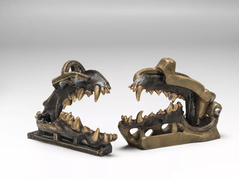 Velika razstava o majhni piščali