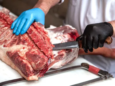 Slika je simbolična. / Foto: Istock