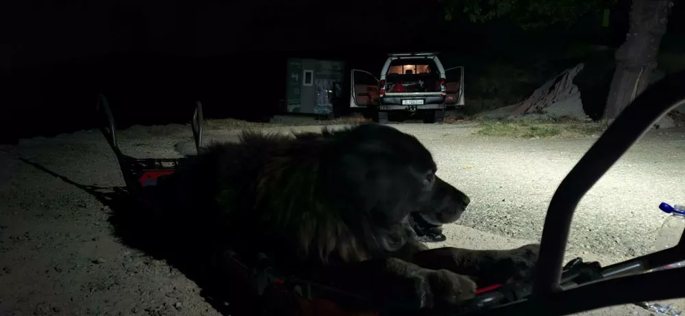 Reševanje psa se je končalo malo po 1. uri zjutraj. Foto: HGSS Zadar 