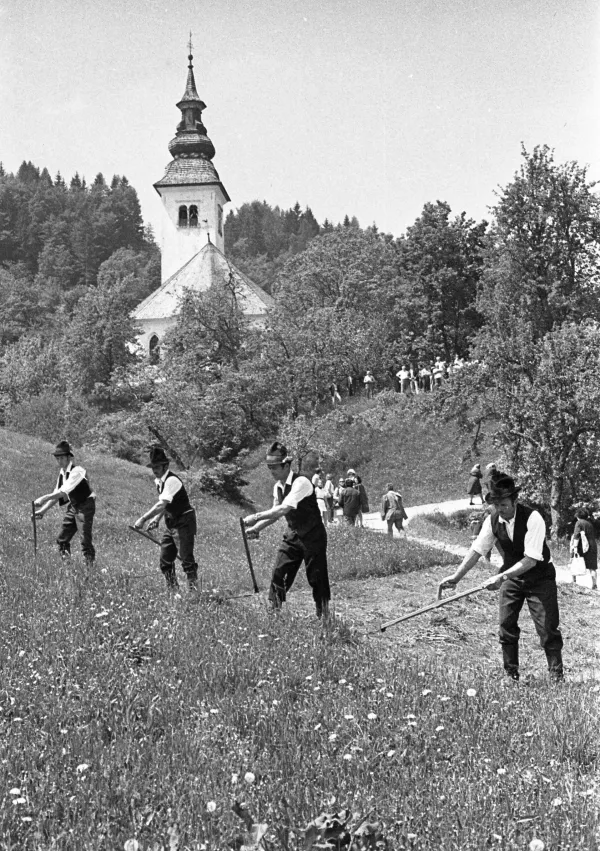 Avgusta so delu na polju ni dalo izogniti. / Foto: Edi Šelhaus