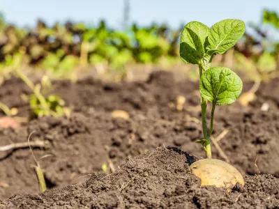 Fotografija je simbolična. / Foto: iStock